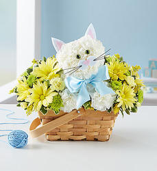 Fabulous Feline Boy Davenport Florist - Same Day Flower Delivery - Flower Power 